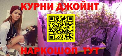 гашик Бузулук