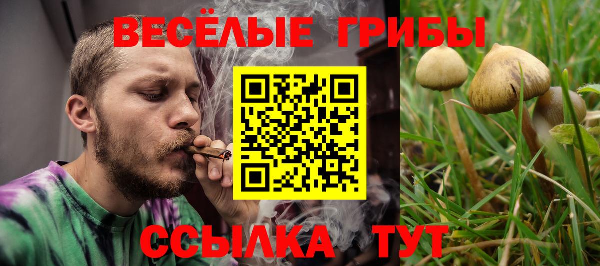 Отрадный  Псилоцибиновые грибы Psilocybe  где купить наркоту  Вход с VPN 